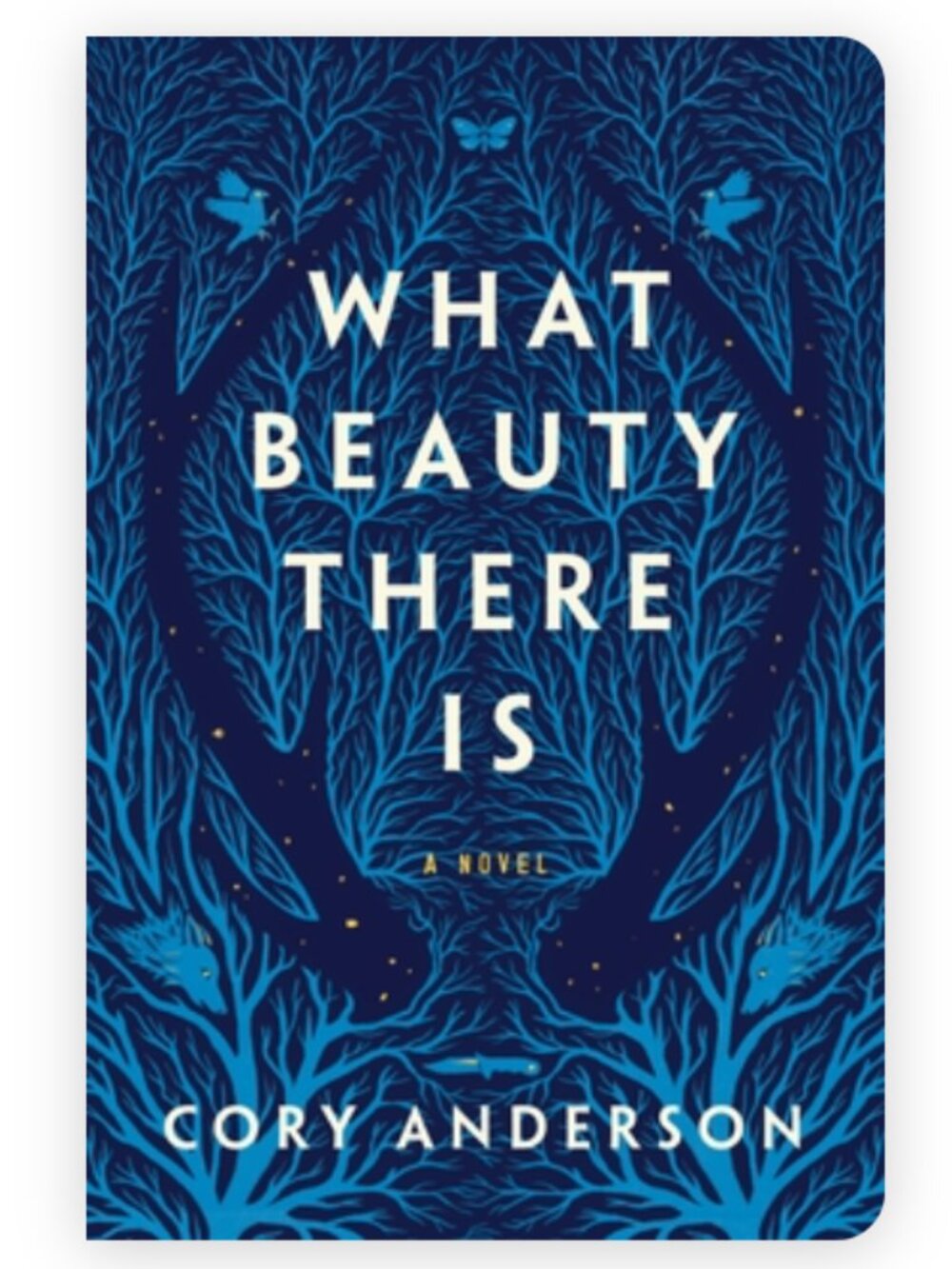 2/$10 What Beauty There Is by Cory Anderson
